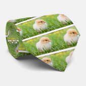 Chick Stropdas (Opgerold)