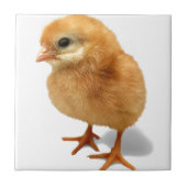 Chick Tegeltje (Voorkant)