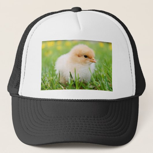 Chick Trucker Pet (Voorkant)