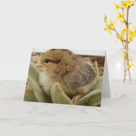 Chick Weed Kaart (Gele Bloem)