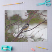 Chickadee 6259 Weefselpapier Tissuepapier (Craft)