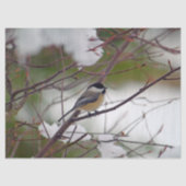 Chickadee 6259 Weefselpapier Tissuepapier (Voorkant)