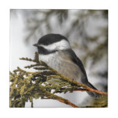Chickadee_9505 Tegeltje (Voorkant)
