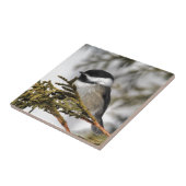 Chickadee_9505 Tegeltje (Zijkant)
