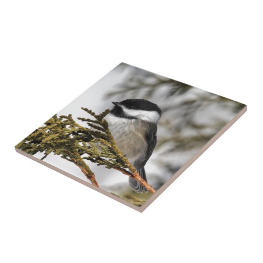 Chickadee_9505 Tegeltje (Zijkant)