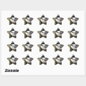 Chickadee_9530 Ster Sticker (Vel)