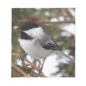 Chickadee_9643 Notitieblok (Voorkant)