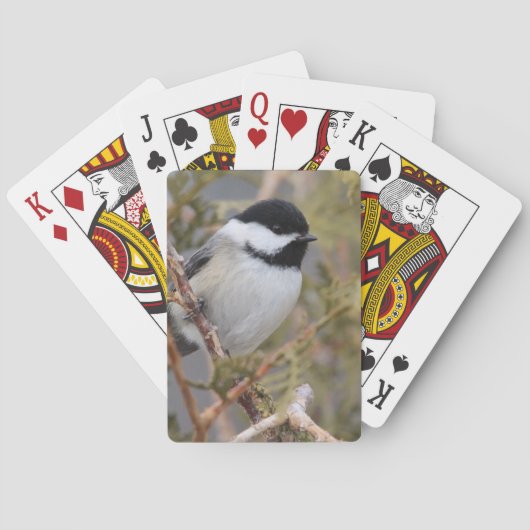 Chickadee_9654 Pokerkaarten (Achterkant)