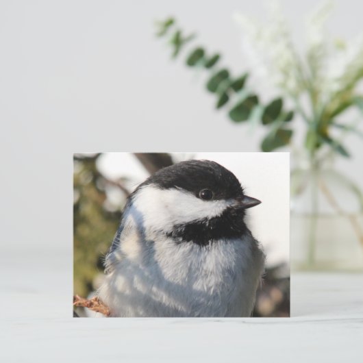 Chickadee 9693 briefkaart (Staand voorkant)