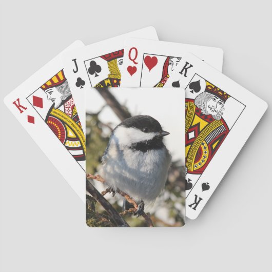 Chickadee 9693 pokerkaarten (Achterkant)