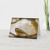 Chickadee All Occasions Kaart (Voorkant)