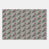 Chickadee / Anna's kolibrie / boomzwaluw Inpakpapier Vel (Voorkant 2)