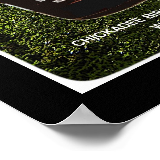 Chickadee Birch Beer Poster (Hoek)