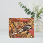 Chickadee Bird in Pink and Red Autumn Leaves Briefkaart (Staand voorkant)