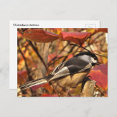 Chickadee Bird in Pink and Red Autumn Leaves Briefkaart (Voorkant / Achterkant)