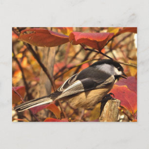 Chickadee Bird in Pink and Red Autumn Leaves Briefkaart