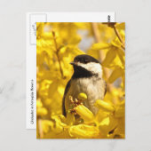 Chickadee Bird in Yellow Flowers Briefkaart (Voorkant / Achterkant)