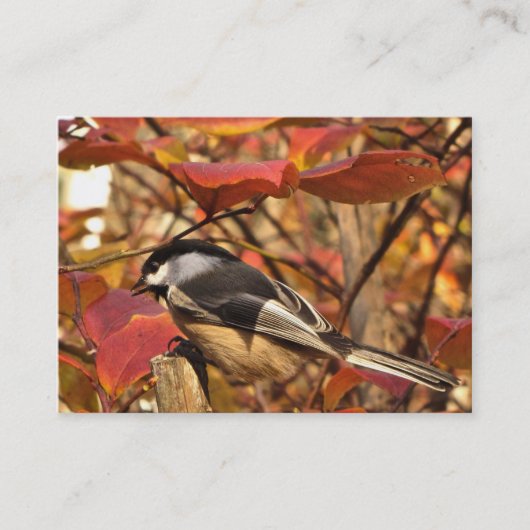 Chickadee Bird met Pink Autumn Foliage ATC Visitekaartje (Voorkant)