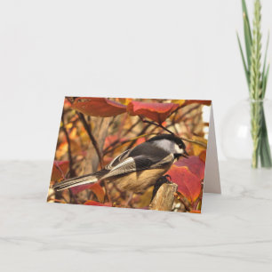 Chickadee Bird met roze herfstbladeren Verjaardag Kaart