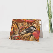 Chickadee Bird met roze herfstbladeren Verjaardag Kaart (Voorkant)