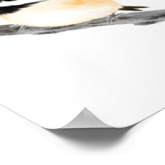 Chickadee Bird Poster Print (Hoek)