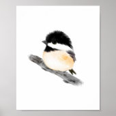 Chickadee Bird Poster Print (Voorkant)