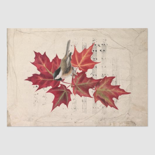 Chickadee Bird Red Autumn laat muziekoppervlak ove Tissuepapier (Voorkant)