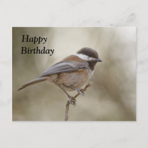 Chickadee Birthday Card Briefkaart