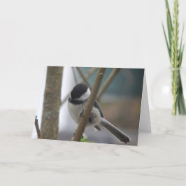 Chickadee Birthday Kaart