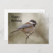 Chickadee Birthday Kaart (Voorkant / Achterkant)