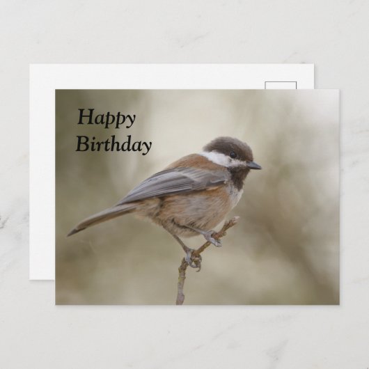 Chickadee Birthday Kaart (Voorkant / Achterkant)