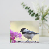 Chickadee Briefkaart (Staand voorkant)