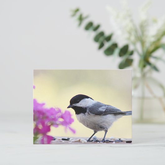 Chickadee Briefkaart (Staand voorkant)