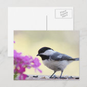 Chickadee Briefkaart (Voorkant / Achterkant)