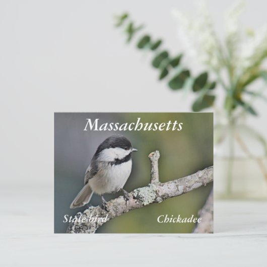 Chickadee Briefkaart (Staand voorkant)