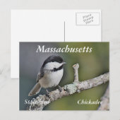 Chickadee Briefkaart (Voorkant / Achterkant)