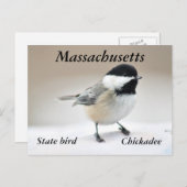 Chickadee Briefkaart (Voorkant / Achterkant)