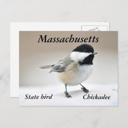 Chickadee Briefkaart (Voorkant / Achterkant)