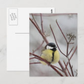 Chickadee Briefkaart (Voorkant / Achterkant)
