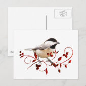 Chickadee Briefkaart (Voorkant / Achterkant)