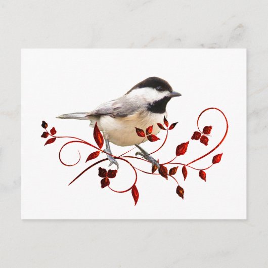 Chickadee Briefkaart (Voorkant)
