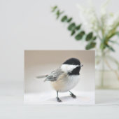Chickadee Briefkaart (Staand voorkant)