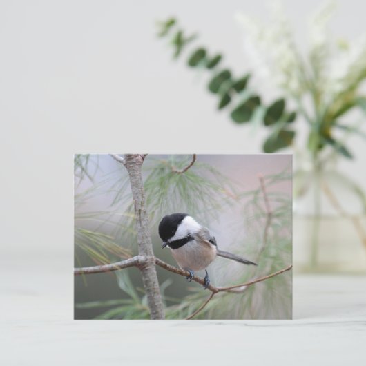 Chickadee Briefkaart (Staand voorkant)