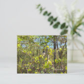 Chickadee Briefkaart (Staand voorkant)