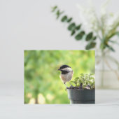 Chickadee Briefkaart (Staand voorkant)