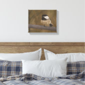 Chickadee Canvas Afdruk (Insitu (Slaapkamer))