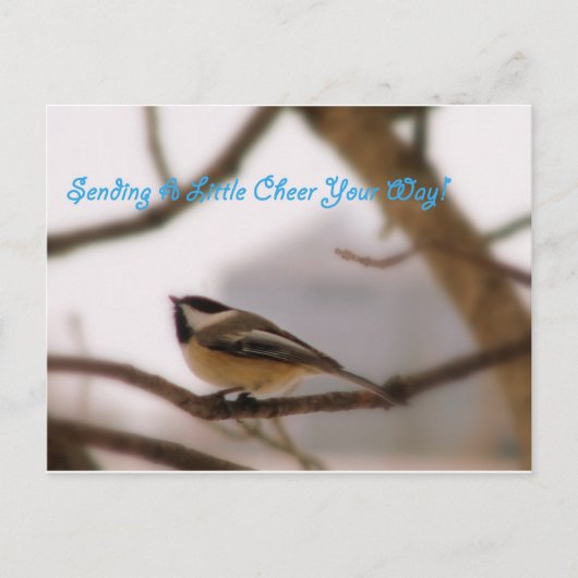 Chickadee Cheer Briefkaart (Voorkant)