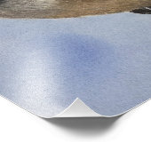 Chickadee dee dee foto afdruk (Hoek)