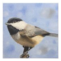 Chickadee dee dee