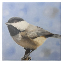 Chickadee dee dee
